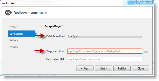 Connection options for publishing web applications