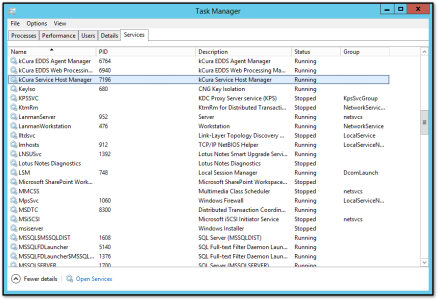 Services running in Task Manager