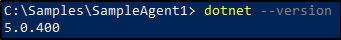 .NET version command