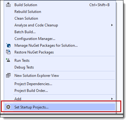 Setup Startup Projects menu option